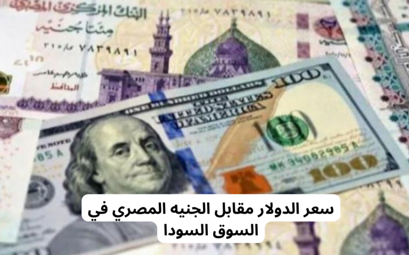 هيوصل لـ60.. سعر الدولار مقابل الجنيه السوق السوداء اليوم الاثنين 25 ديسمبر 2023 في مصر