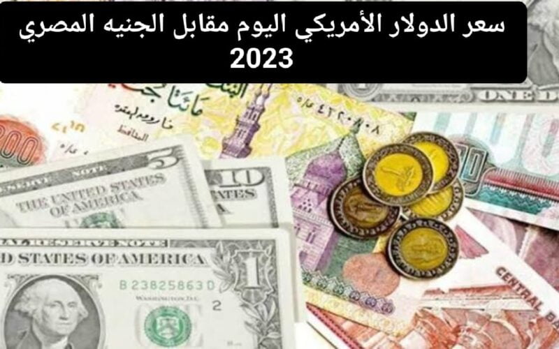 “يرتفع بجنون” سعر الدولار في السوق السوداء في مصر اليوم 365 الاربعاء 27 ديسمبر 2023
