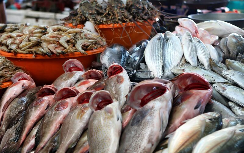 “الجمبري وصل لـ600 ج” اسعار السمك اليوم الاثنين الموافق 25 ديسمبر 2023 في سوق العبور وأسواق التجزئة للمستهلك