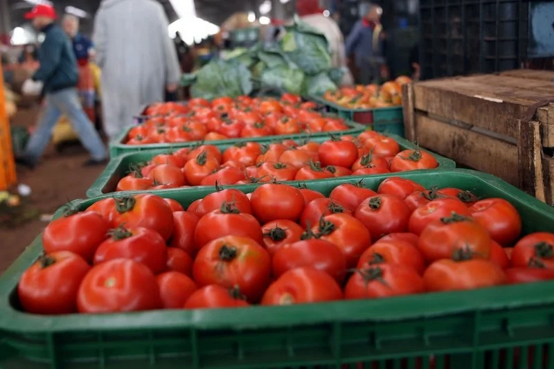 سعر الطماطم اليوم في سوق العبور واسعار الخضار الخميس 14 ديسمبر 2023