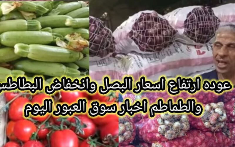 بكام؟.. اسعار البصل اليوم الاربعاء 27/ 12/ 2023 في سوق العبور والأسواق المحلية