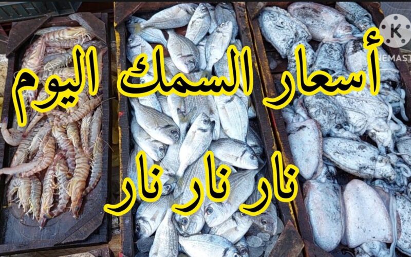 “جميع المأكولات البحرية” اسعار السمك اليوم الاحد 24 ديسمبر 2023 في سوق العبور