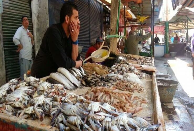 “بوري وبلطي” أسعار السمك اليوم بسوق العبور السبت 6 يناير 2024 في الأسواق المحلية