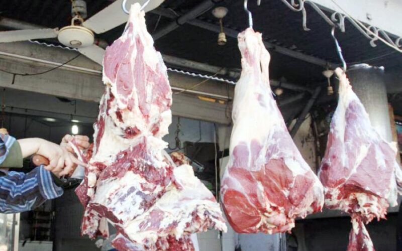 “كندوز وكبير” اسعار اللحوم اليوم الثلاثاء 2024/1/9 للمستهلك في جميع محلات الجزارة