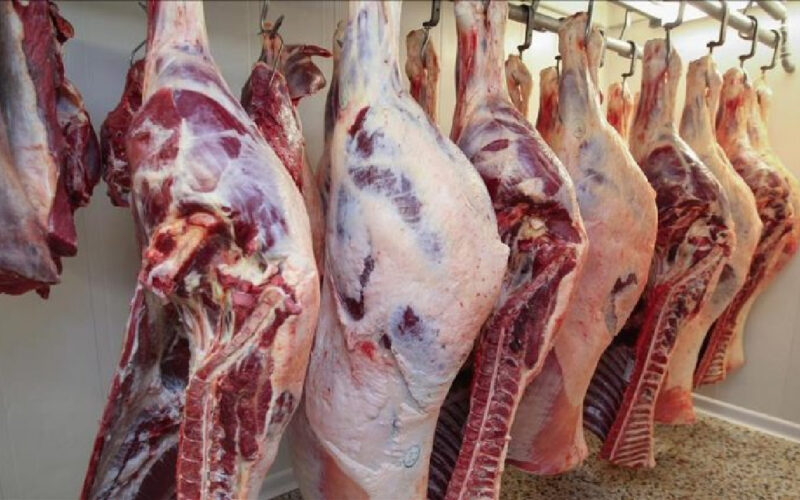 “الجملي بكام” اسعار اللحوم اليوم الخميس 2024/1/11 للمستهلك في محلات الجزارة