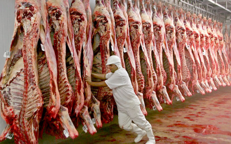 “البلدي بكام” اسعار اللحوم اليوم  الاربعاء 2024/1/10 للمستهلك في كل محلات الجزارة