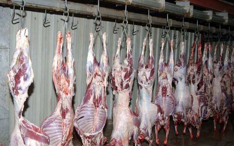“الجملي بكام” اسعار اللحوم اليوم السبت الموافق 2024/1/13 للمستهلك في جميع محلات الجزارة