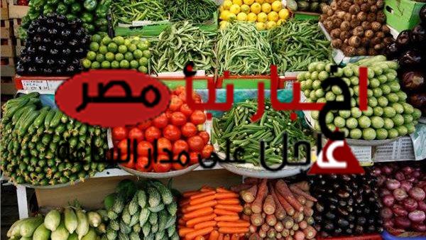 أسعار الخضراوات في مصر اليوم الأحد 21-1- 2024
