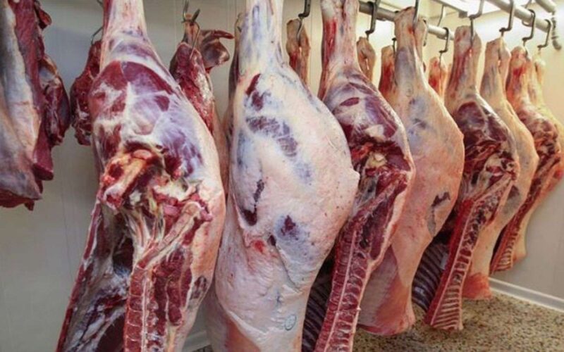 أسعار اللحوم اليوم الثلاثاء 23 يناير 2024 في الأسواق