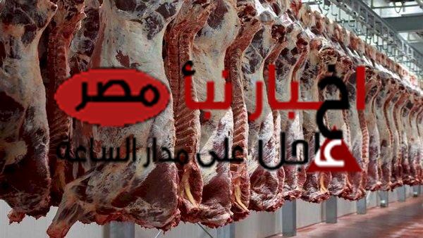 أسعار اللحوم اليوم الأحد 28 يناير 2024 في السوق