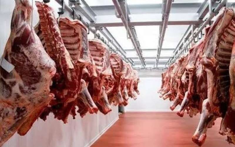 أسعار اللحوم اليوم الإثنين 29-1-2024 في الأسواق المصرية