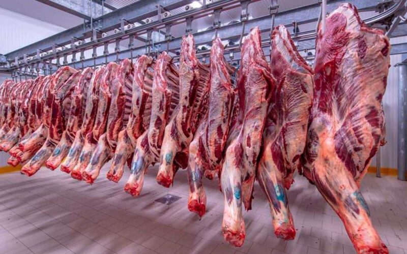 أسعار اللحوم في الأسواق المصرية اليوم السبت 20 يناير 2024