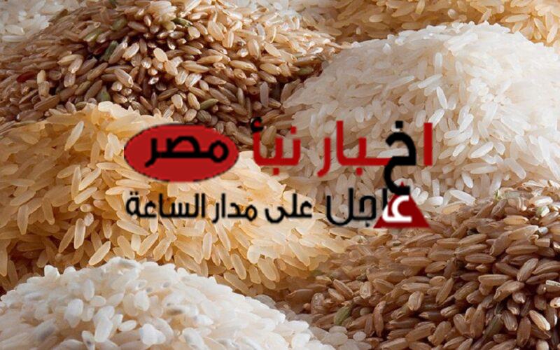 شعبة الأرز : هبوط سعر طن الأرز الشعير وزيادة الإنتاجية إلى 4 ملايين طن