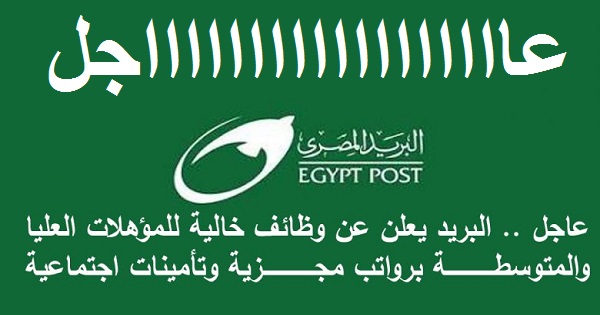 “قدم الآن” التقديم لوظائف البريد المصري 2024 للمؤهلات العُليا والمتوسطة في جميع المحافظات