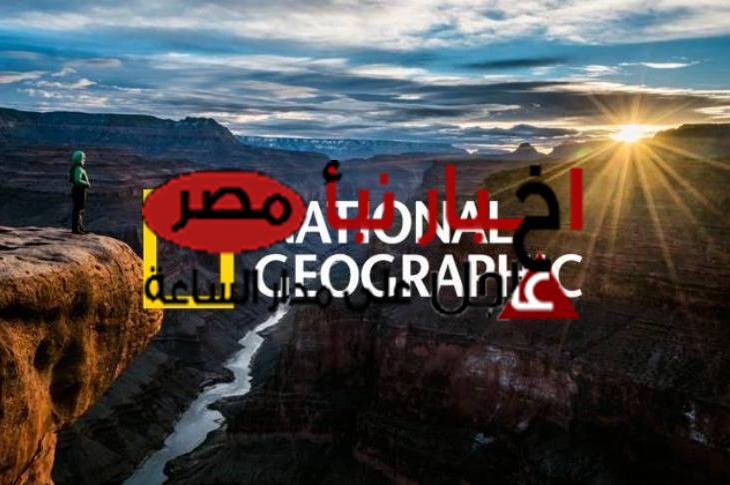 تثبيت تردد قناة ناشيونال جيوغرافيك نايل سات 2024 National Geographic لمشاهدة اهم البرامج والافلام الوثائقية عن العالم البري بجودة HD